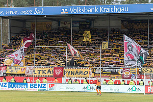 Circa 1.500 Schwarz-Gelbe begleiteten die SGD nach Sandhausen. (Foto: Steffen Kuttner)