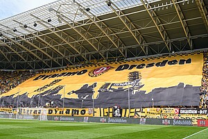 Dynamo ist Dresden, Dresden ist Dynamo. (Foto: SGD/Dennis Hetzschold)