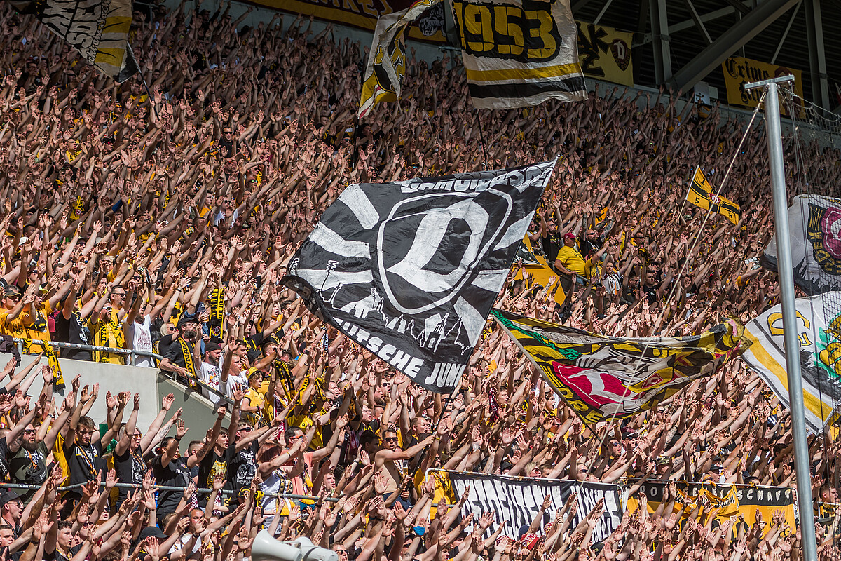 FANCHARTA Sportgemeinschaft Dynamo Dresden