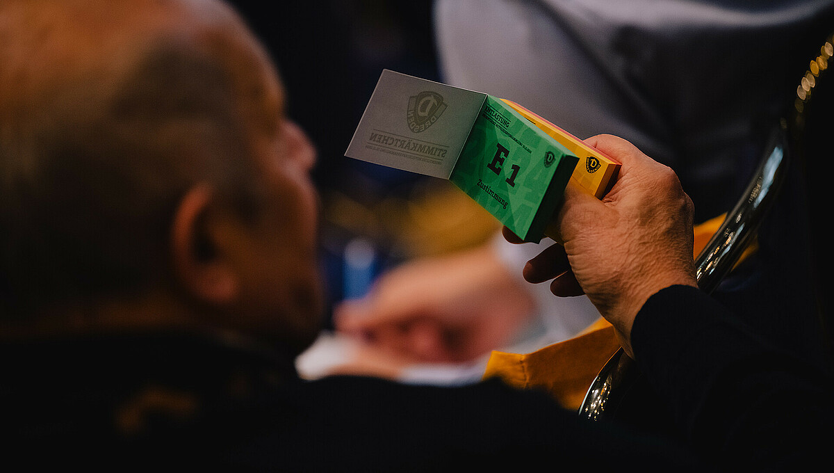  Sportgemeinschaft Dynamo Dresden - Die Bildidee 